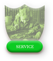 service